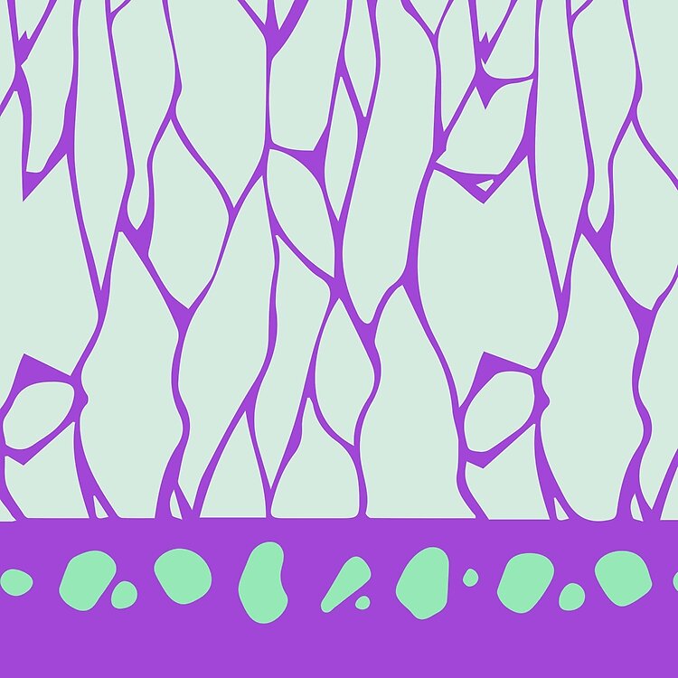 Demon Slayer Shinobu Butterfly Tote Bag - Image 2